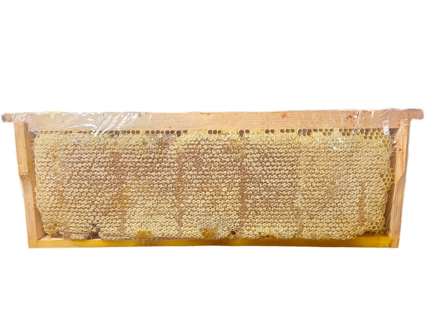 100% Real Raw Pure Honeycomb 100G Tub. Brand New Harvest.