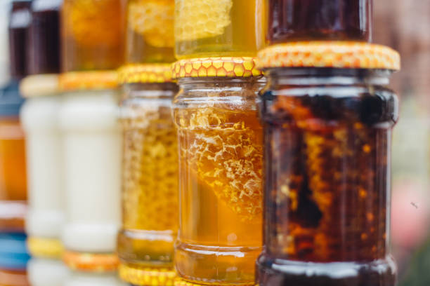 Forest Treasures: Chestnut, Pine & Honeydew Honey