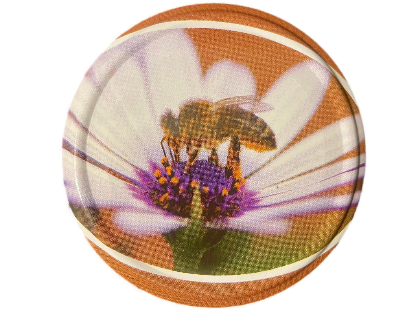 100% Real Raw Pure Sunflower Honey 500G Jar. Brand New Harvest.